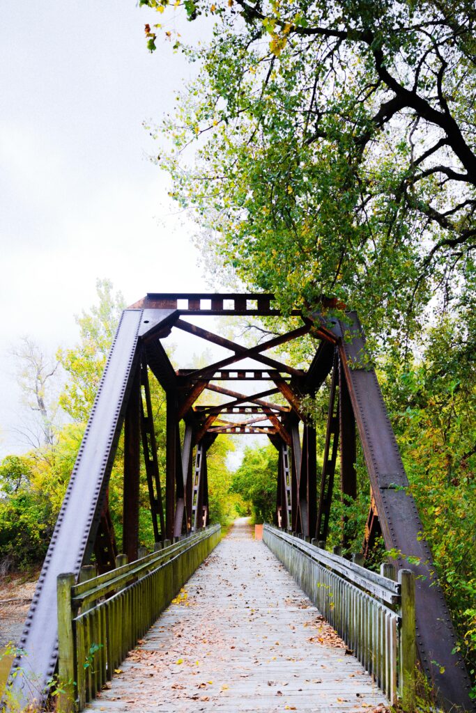 A rustic metal bridge crosses a wooden pathway amid lush green trees, showcasing natural symmetry.
